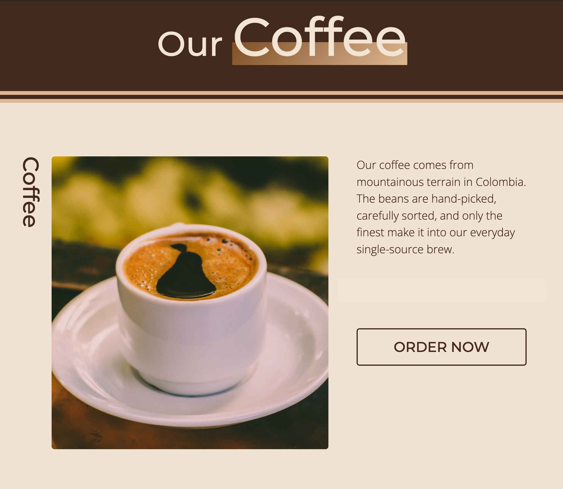 CSS projects course.